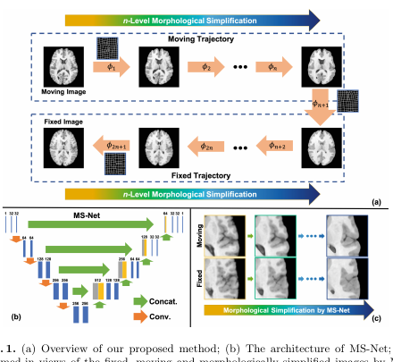 CycleGAN neonatal brain segmentation