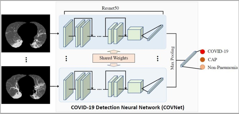 AI diagnosis of COVID-19 and pneumonia