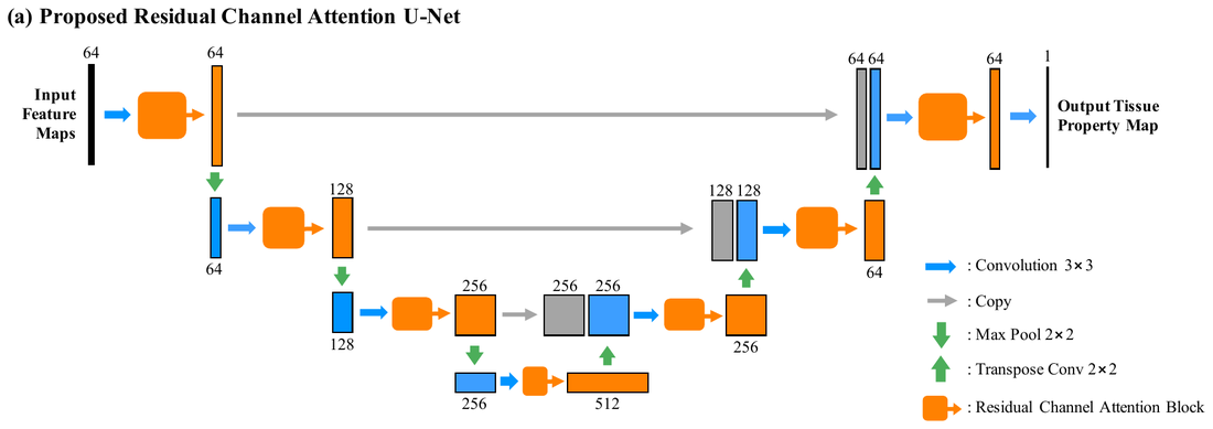 RCA-U-Net tissue quantification